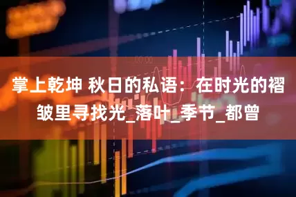 掌上乾坤 秋日的私语：在时光的褶皱里寻找光_落叶_季节_都曾