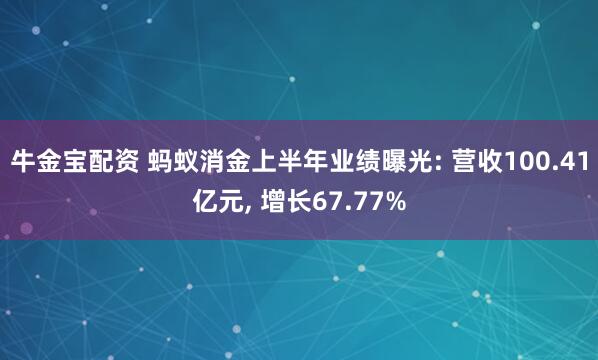 牛金宝配资 蚂蚁消金上半年业绩曝光: 营收100.41亿元, 增长67.77%
