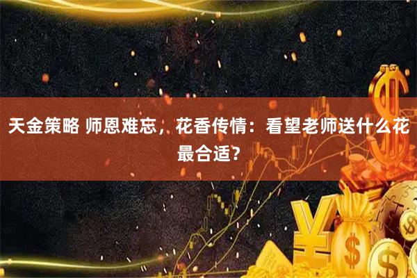 天金策略 师恩难忘，花香传情：看望老师送什么花最合适？