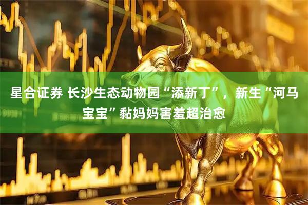 星合证券 长沙生态动物园“添新丁”，新生“河马宝宝”黏妈妈害羞超治愈